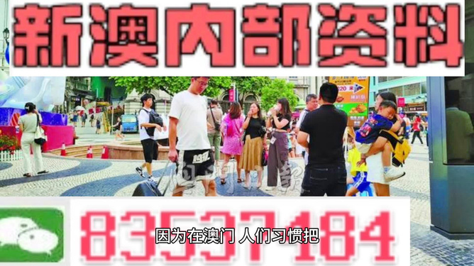 2024澳门精准正版免费,全面贯彻解释落实,完整版230.282